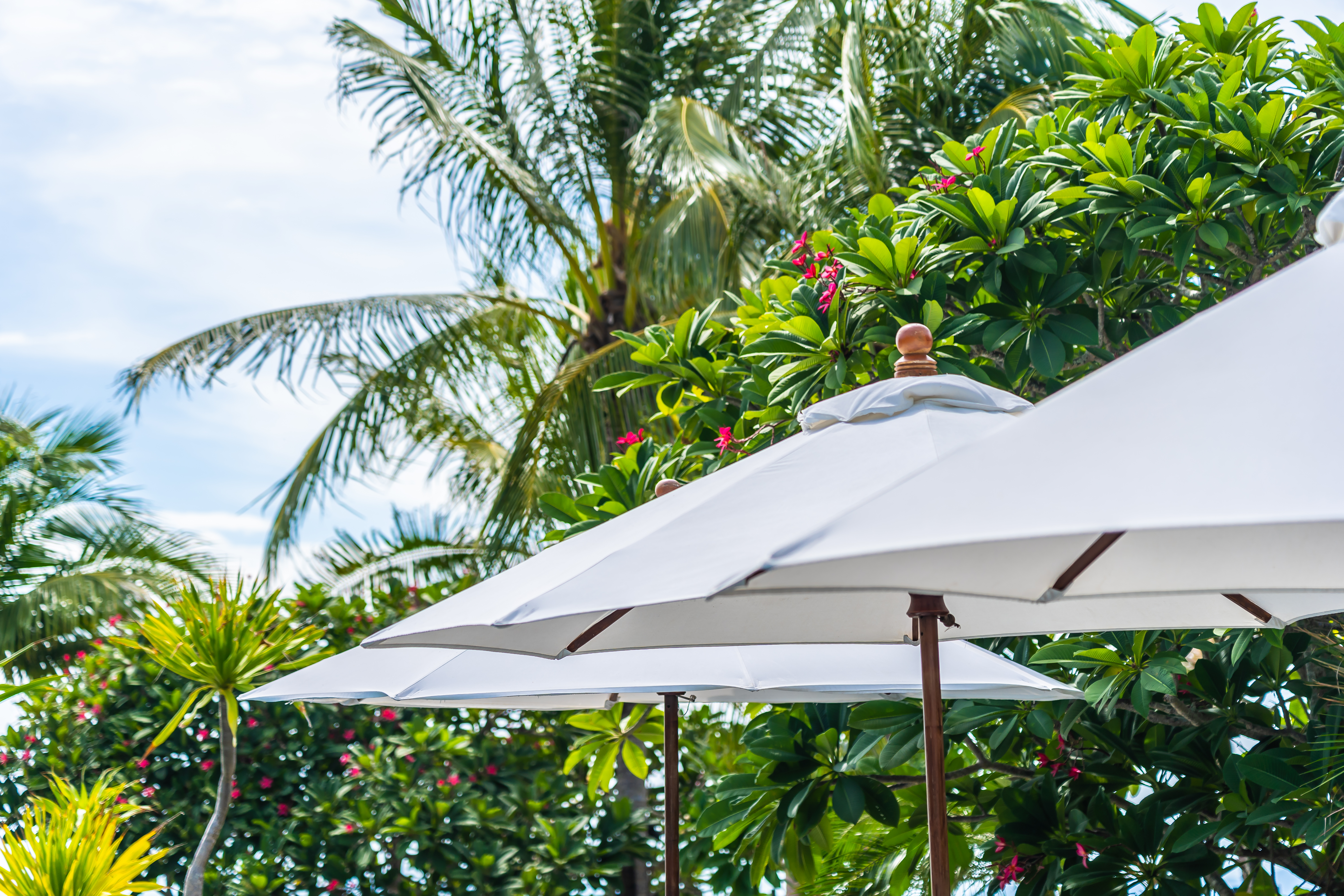 Why Custom Canopies Are a Must for Sri Lankan Homes