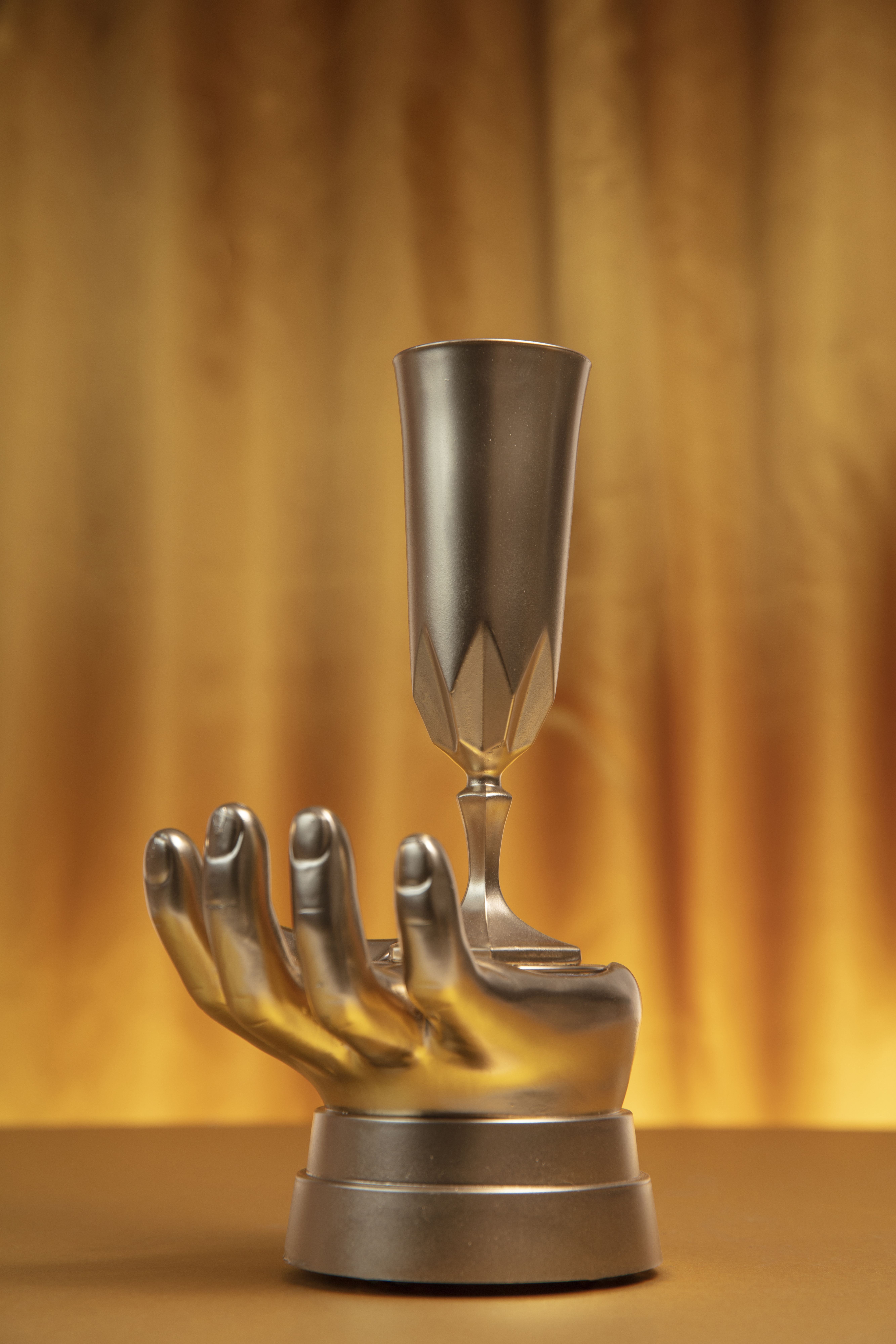 Custom Logo Trophy