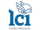 LCI Logo