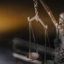 bg-slider1.jpg