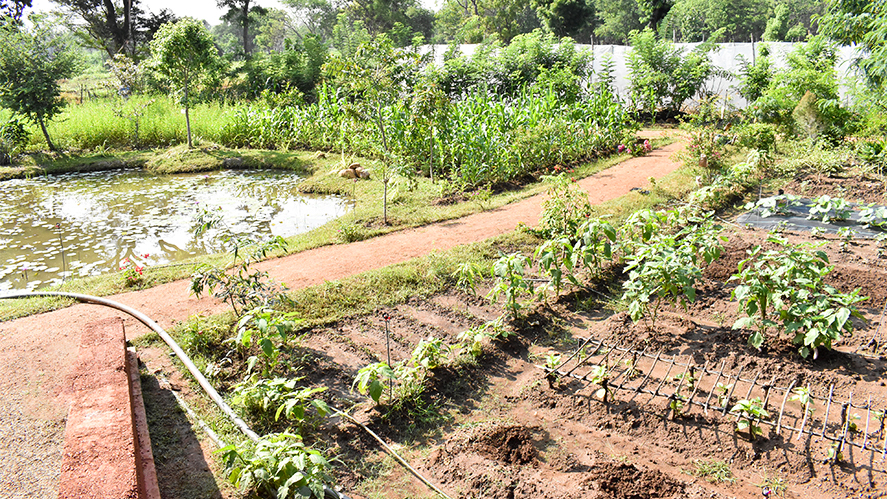 The Inauguration of the Framer Field School at Thirappane, Anuradhapura opening