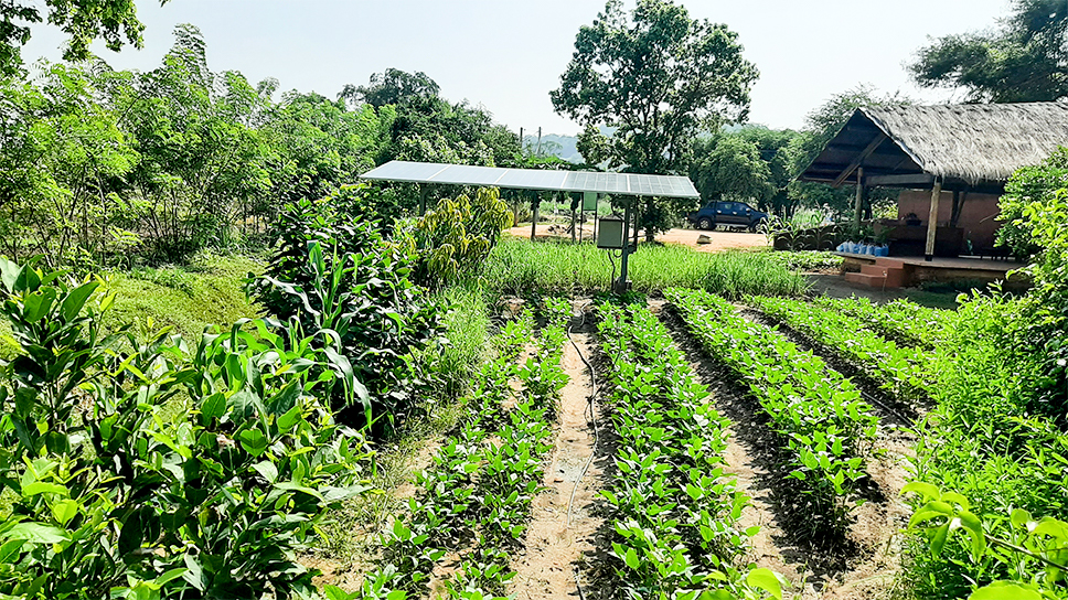 The Inauguration of the Framer Field School at Thirappane, Anuradhapura opening