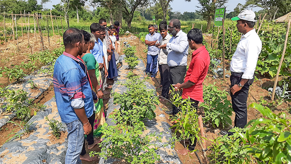 The Inauguration of the Framer Field School at Thirappane, Anuradhapura opening