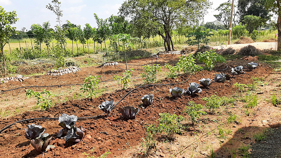 The Inauguration of the Framer Field School at Thirappane, Anuradhapura opening