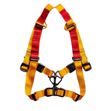 Safety Harness