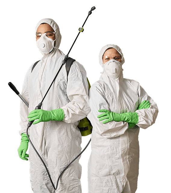 Pest control experts